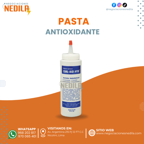 PASTA ANTIOXIDANTE