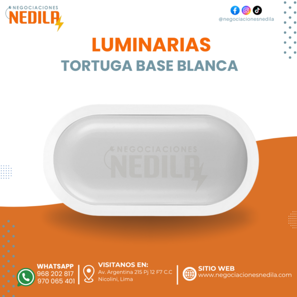 TORTUGA LED BASE BLANCA